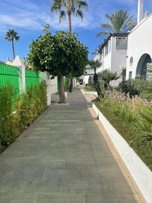 Superbe 3 Apartment Marbella